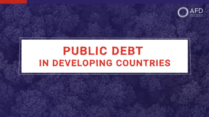 Public debt in developping countries with Maxime Terrieux