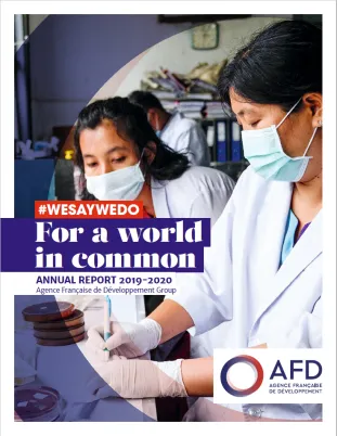 Annual report 2019-2020 AFD Group 