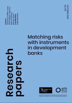 Matching Risks with Instruments in Development Banks