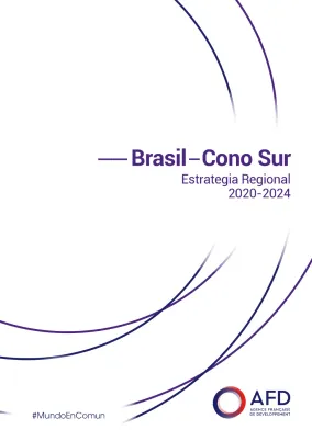 Brasil-Cono Sur: estrategia regional