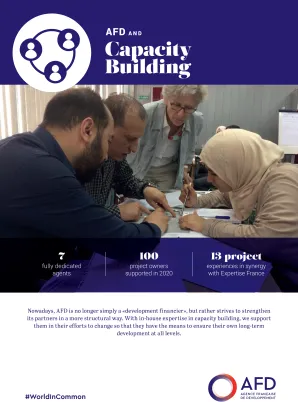 afd and capacity building