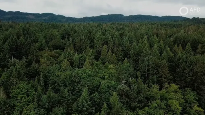 Turkey : Protecting forests and the future