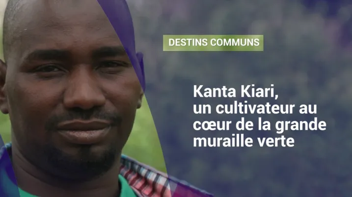 Kanta Kiari, un cultivateur au cœur de la grande muraille verte