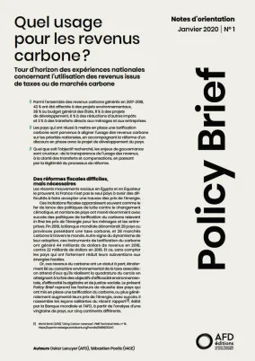 usage-revenus-carbone