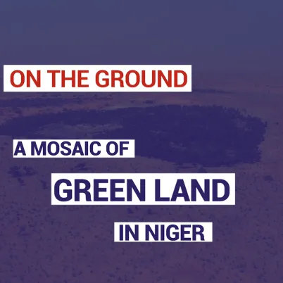A Mosaic of Green Land in Niger