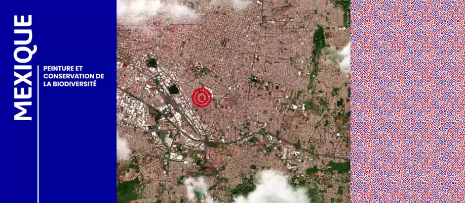 Mexique : peinture et conservation de la biodiversité