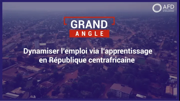 Dynamiser l'emploi via l'apprentissage en République centrafricaine