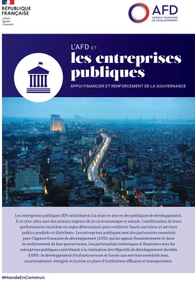 L'AFD et les entreprises publiques