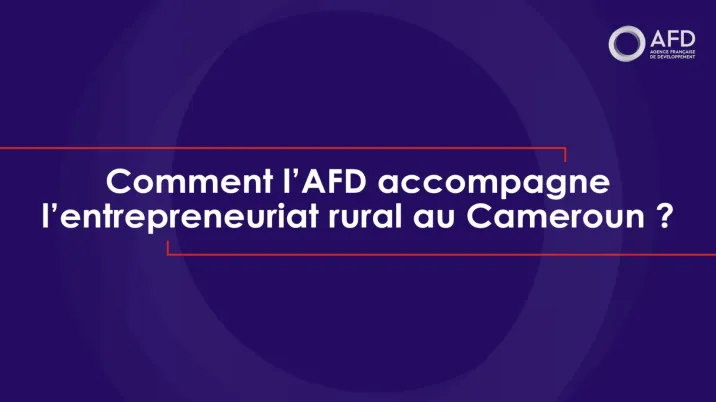 Entreprenariat rural au Cameroun
