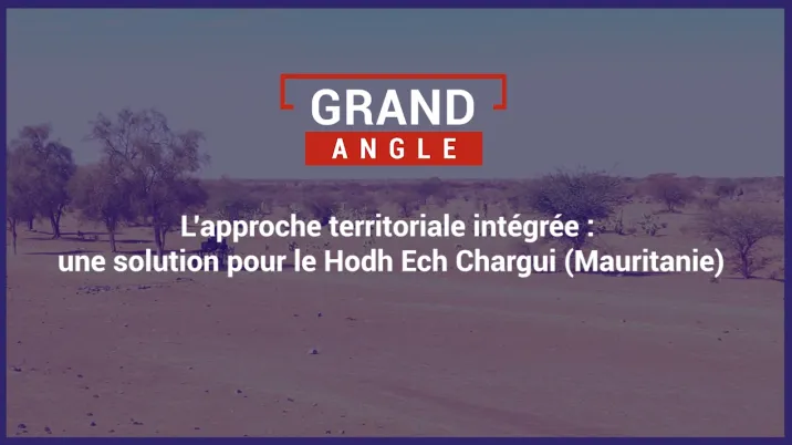 L'approche territoriale intégrée : une solution pour le Hodh Ech Chargui (Mauritanie)