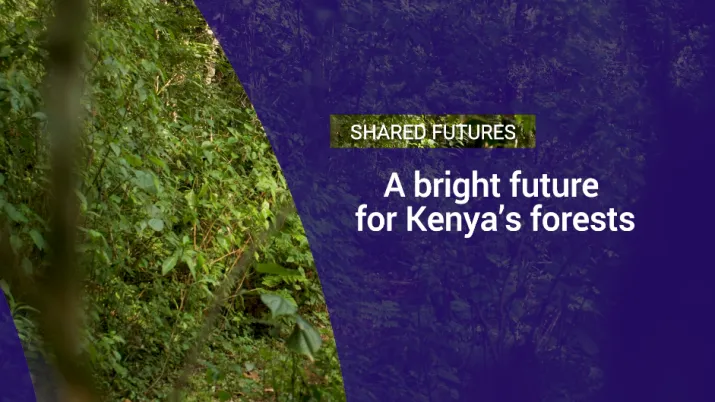 A bright future for Kenya's forests