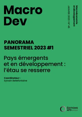 MacroDev Panorama#1 2023 