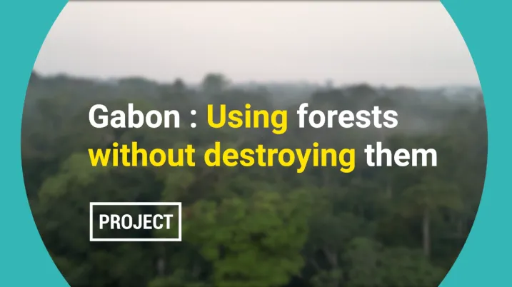 Gabon: Using forests without destroying them