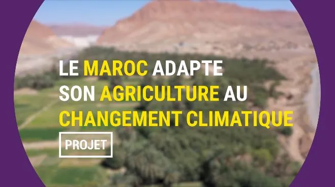 Le Maroc adapte son agriculture au changement climatique