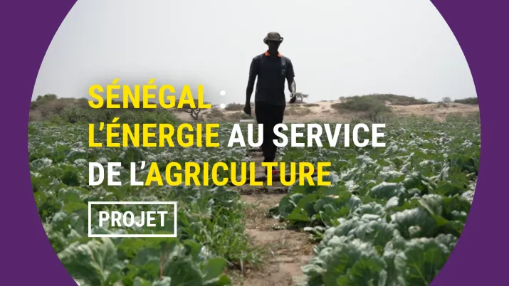 Sénégal : l'énergie au service de l'agriculture