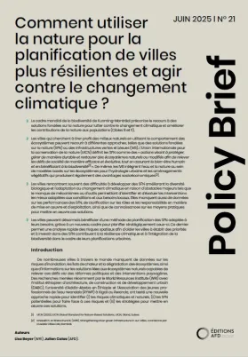 Couv Policy Brief 21 VF