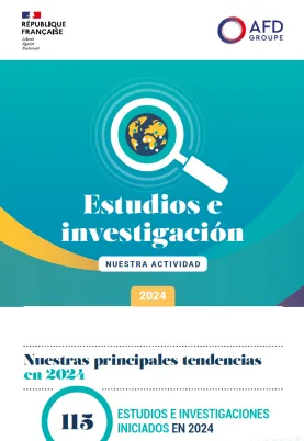 Infografía - Nuestras actividades Estudios e investigación 2024