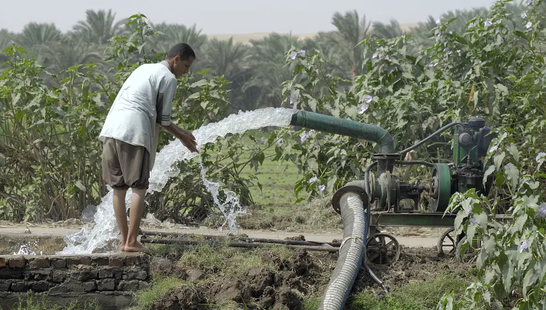 Irrigation, Égypte