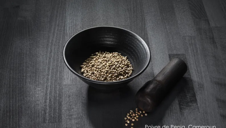 Soutien à la mise en place d’indications géographiques africaines, Cameroun