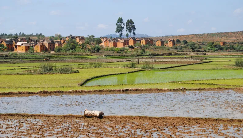 paysage rural, agriculture, maisons, Madagascar