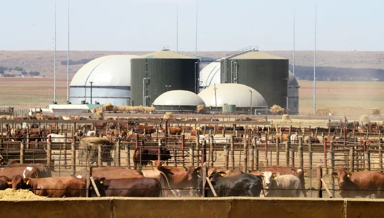 sunref, efficacité énergétique, PME, afrique du sud