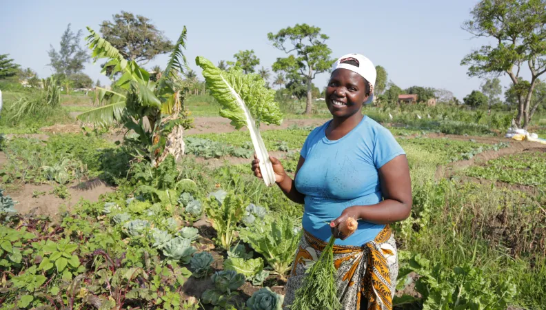 agriculture, ESSOR, mozambique, ONG
