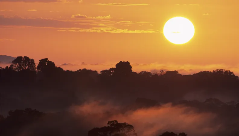 Préservation des forêts sur le plateau des Guyanes