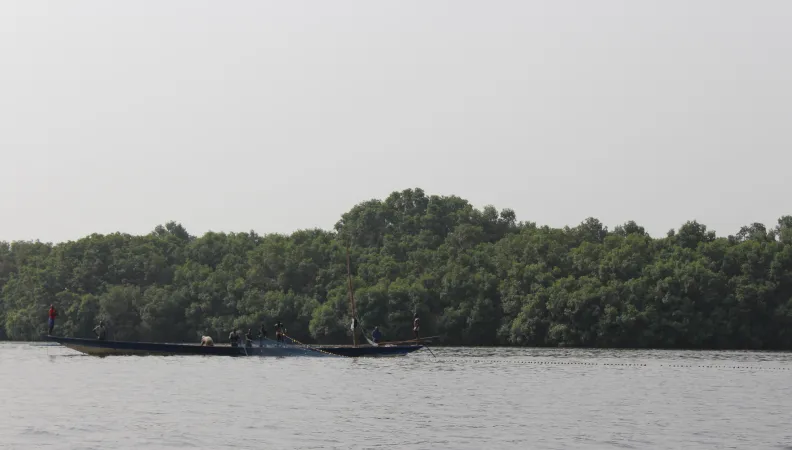 Agir pour la sauvegarde des forêts, parcs et réserves