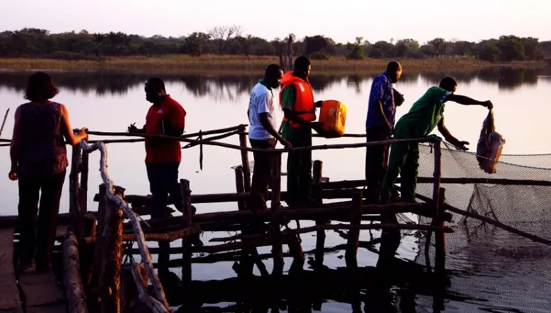 Songhai, projet pêche, Bénin