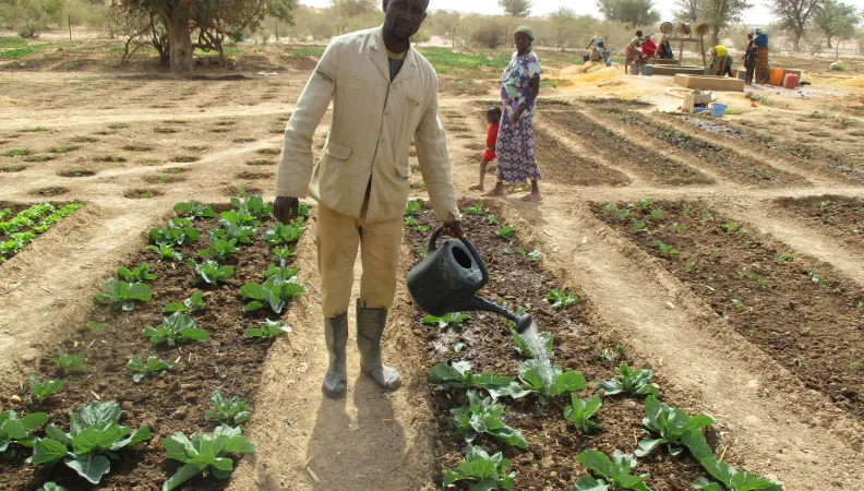 Soutenir la production agricole pour faire face aux crises alimentaires