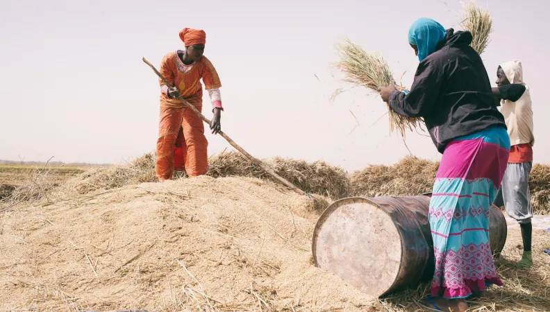 matam, sénégal, agriculture