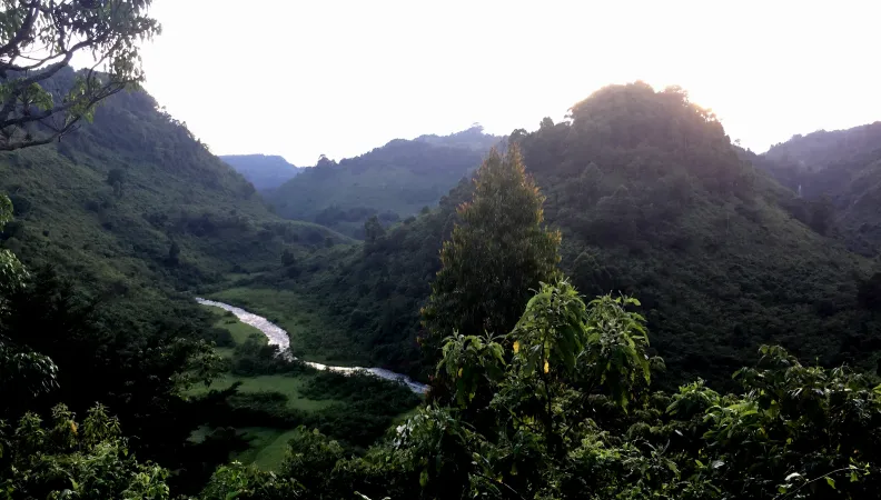 Réhabilitation de la forêt des Aberdares avec le Green Belt Movement - Photo