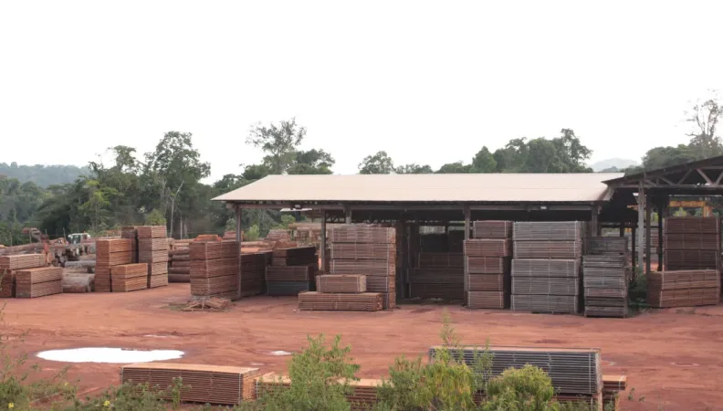 Cacao sawmill, biomass power station, Voltalia, French Guiana