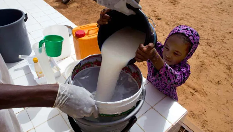 Nariindu 2 : promouvoir le lait local au Sahel