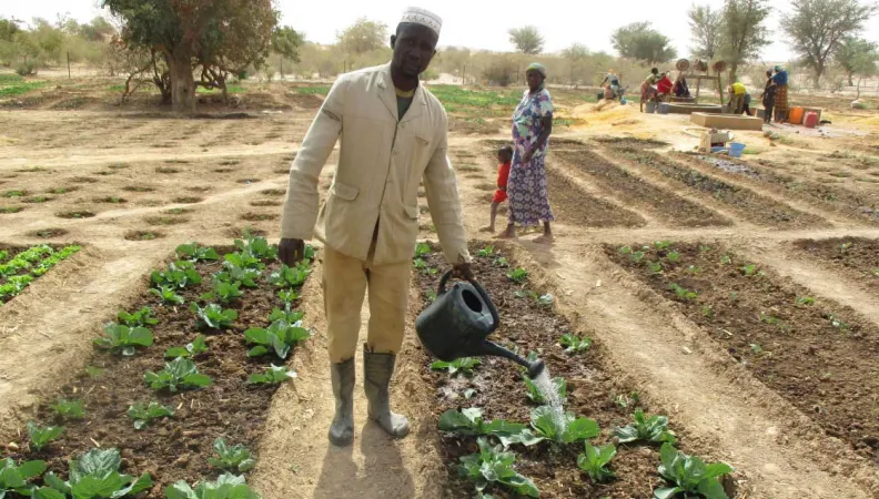 Appuyer la sécurité alimentaire des ménages (PASAM 4)