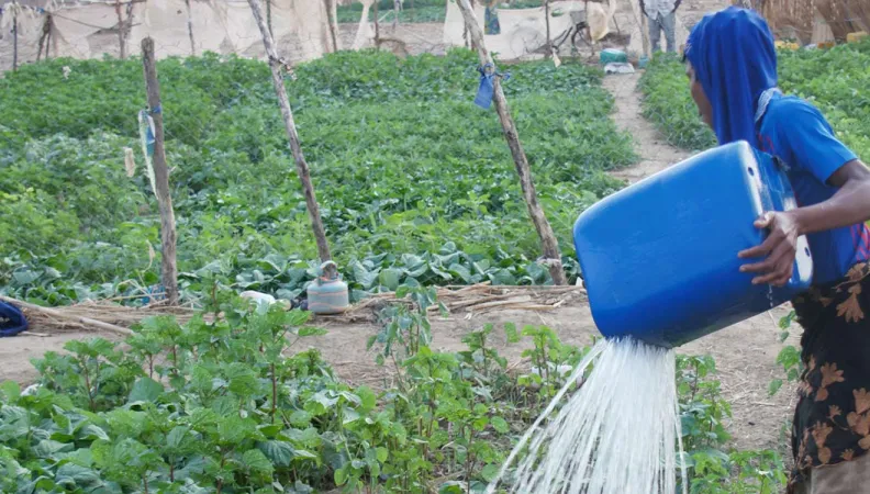 Solution d'irrigation solaire améliorée (SISAM)