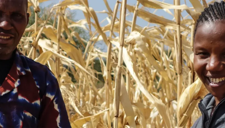 Les OPA, levier de développement des économies rurales - TransFert 2