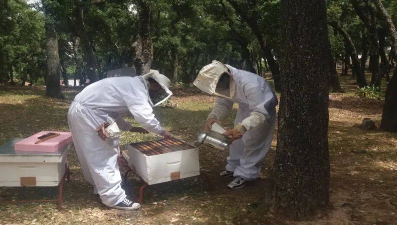 Soutenir les petits acteurs économiques et les filières tunisiennes, association Adie