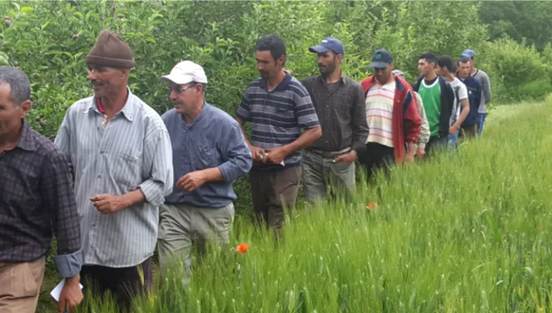 Les organisations de producteurs au service des agriculteurs - OPSAT