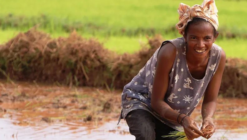 Partenariat entre organisations paysannes africaines et françaises 