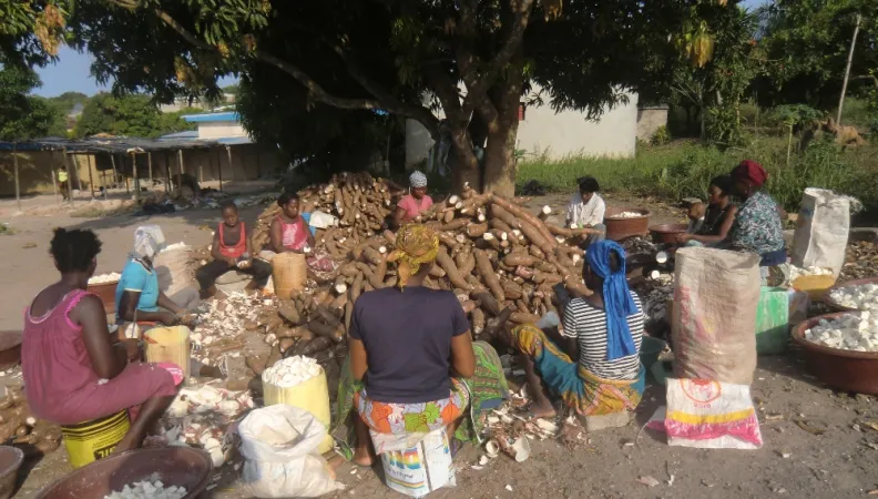 Agrovalor : valorisation énergétique de déchets agroindustriels
