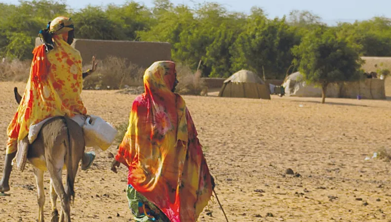 Appuyer la société civile pour lutter contre la désertification au Sahel