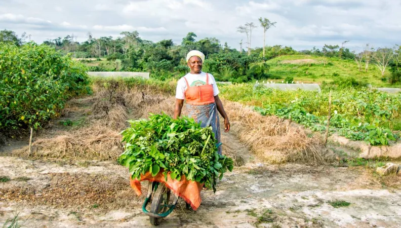 Agricultura y desarrollo rural, mujer, Gabón