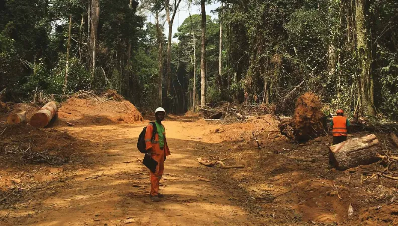 Préserver la biodiversité et promouvoir le développement durable dans le Nord-Congo, AFD