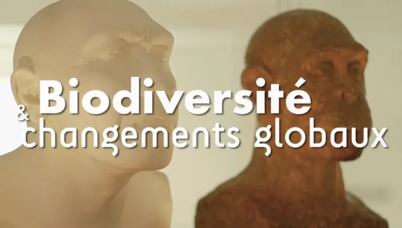 Mooc biodiversité UVED AFD changements globaux
