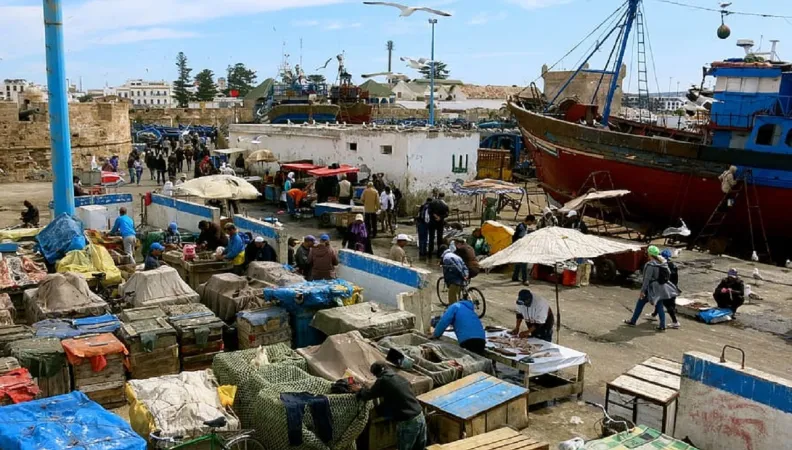 agriculture afrique afd