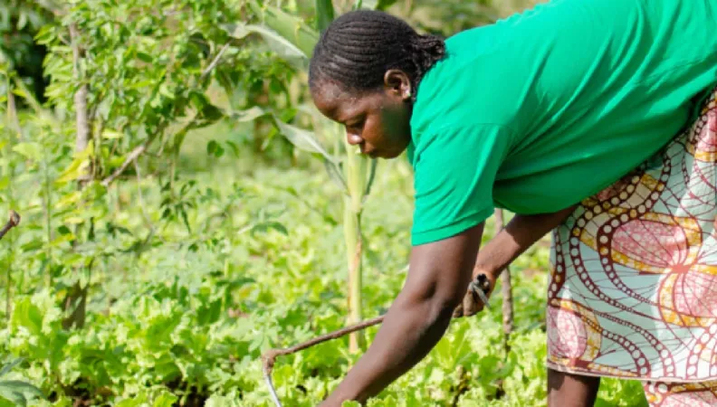 L’agroécologie pour la souveraineté alimentaire et la résilience climatique, ONG Terre & Humanisme