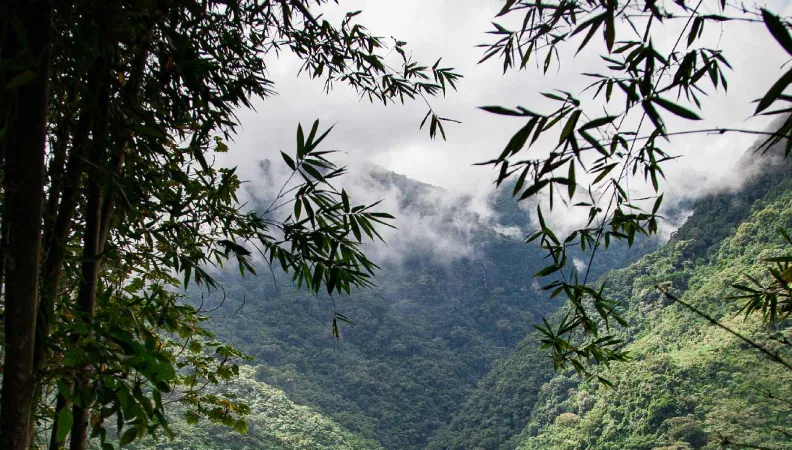 Comment accélérer la transition territoriale et écologique ? 