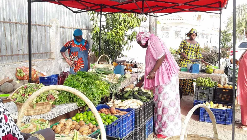 Terres nourricières 2019-2022, projet CFSI