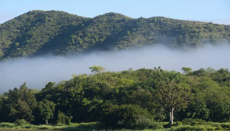 afd ace nouvelle calédonie